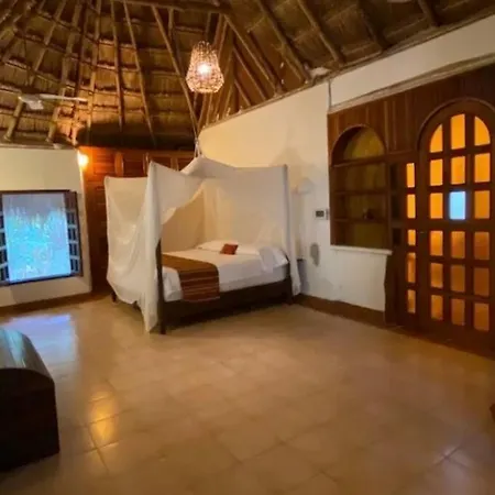 Jungle Oasis By The Beach: Casa Selva On 38Th Street